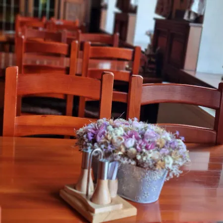 Guest house Orion