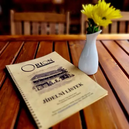 Guest house Orion