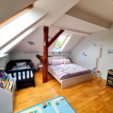 Orion Guest house Petrovice (Usti nad Labem)