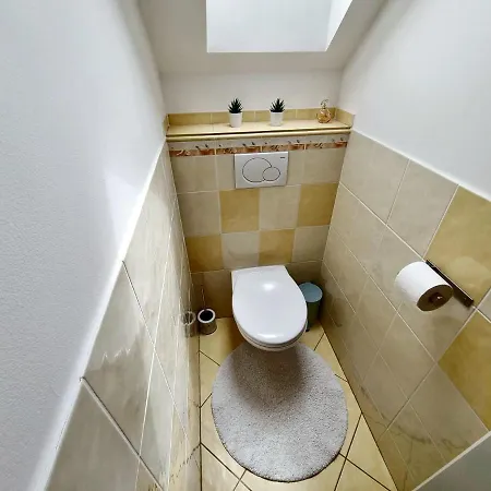 Orion Guest house Petrovice (Usti nad Labem)