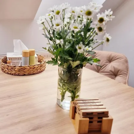 Orion Guest house Petrovice (Usti nad Labem)