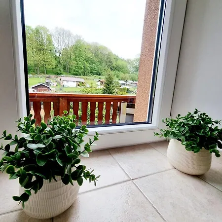 Orion Guest house Petrovice (Usti nad Labem)