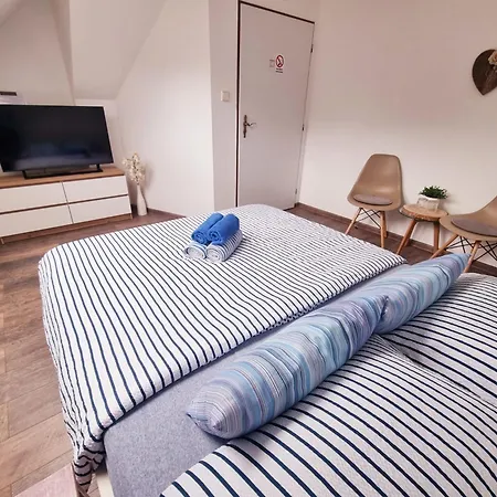Orion Guest house Petrovice (Usti nad Labem)