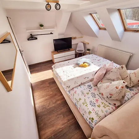 Orion Guest house *
